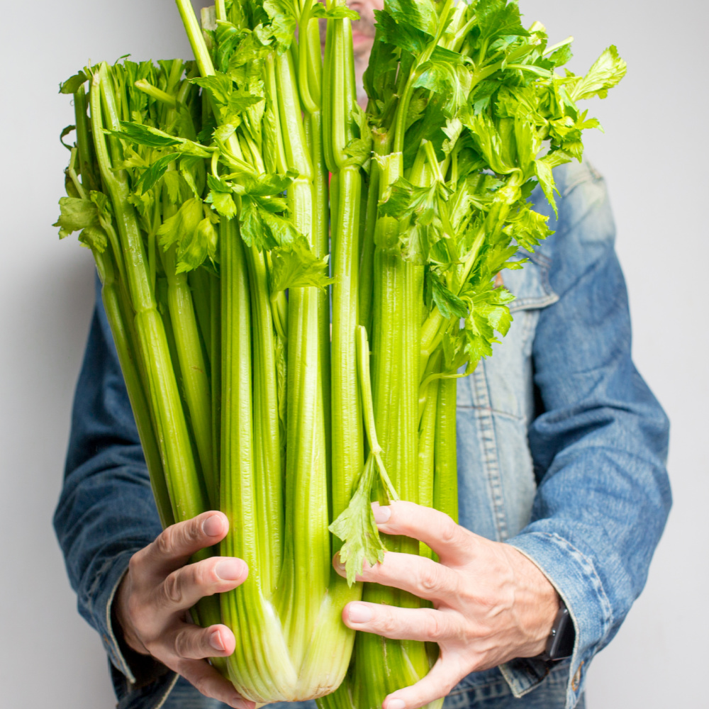 person holding celery
